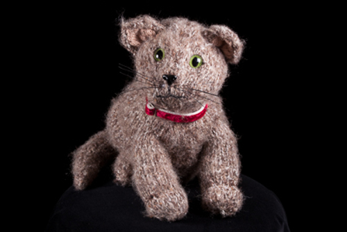 Barnsley Experience Cat