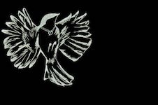 Alison Young Designs