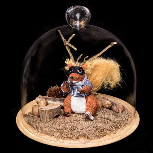 Secret Squirrel Dome