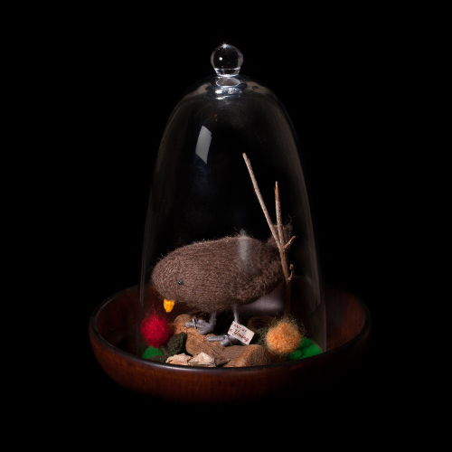 Baby Starling in Dome